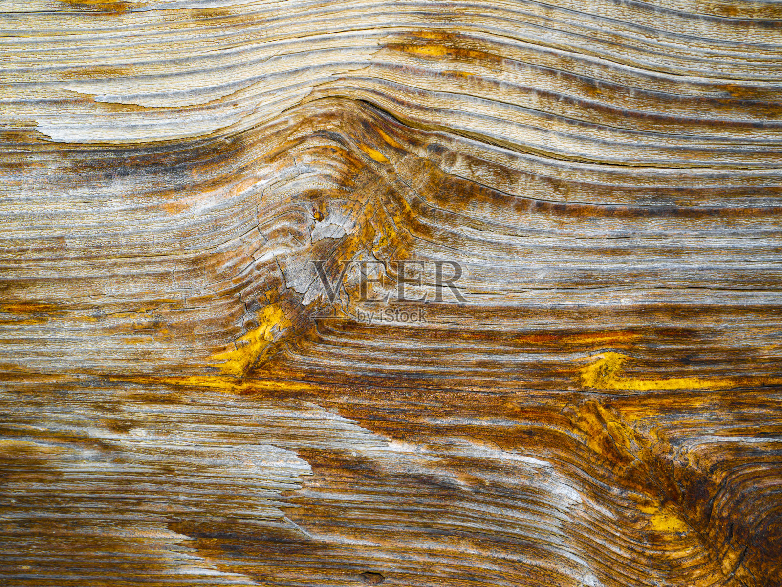 木材纵节的纹理。照片摄影图片