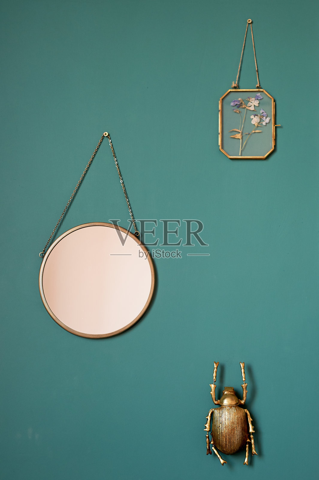 绿色墙，高贵色调。挂一面镜子，一只金甲虫和一个有框的植物标本。室内装饰照片摄影图片
