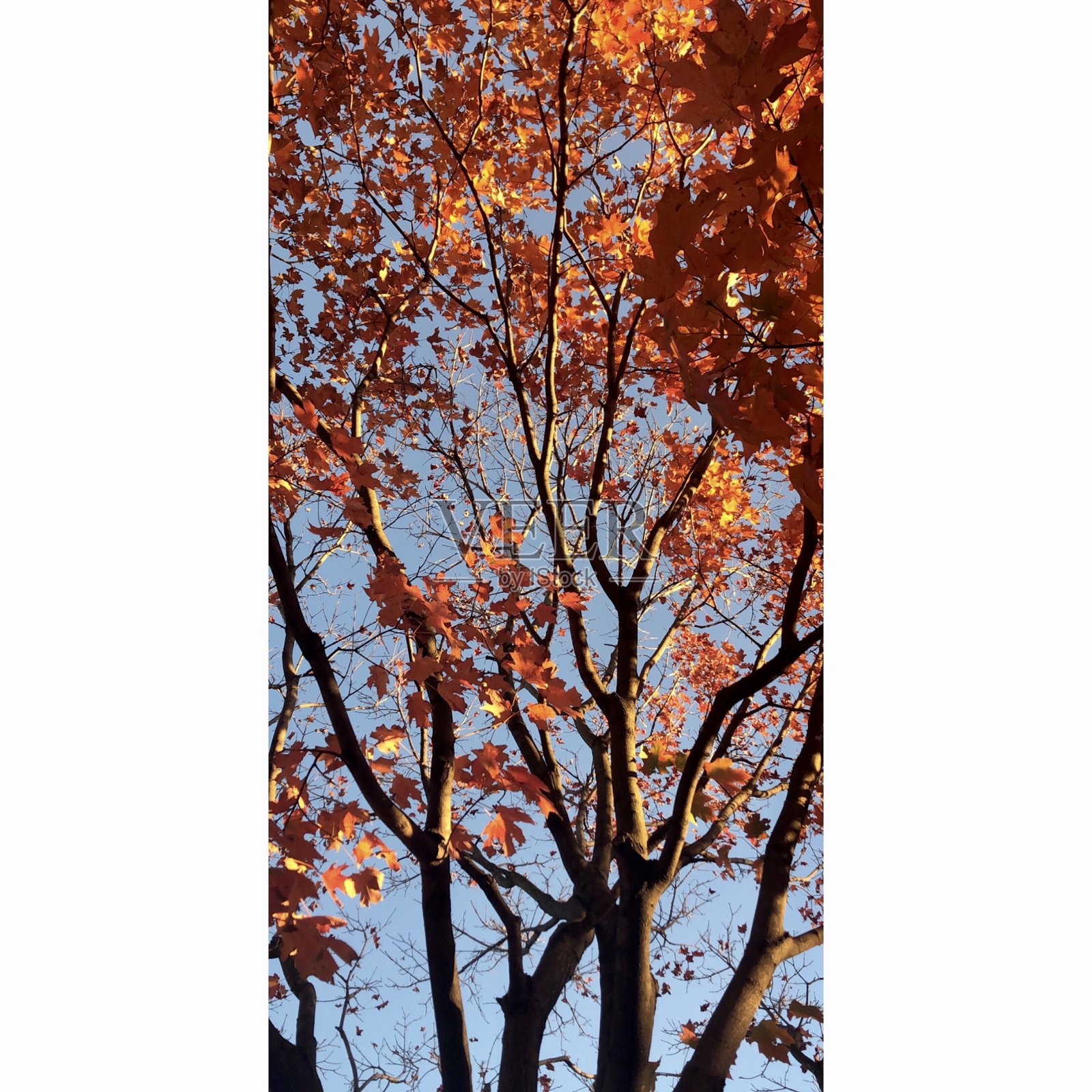 首次下降照片摄影图片