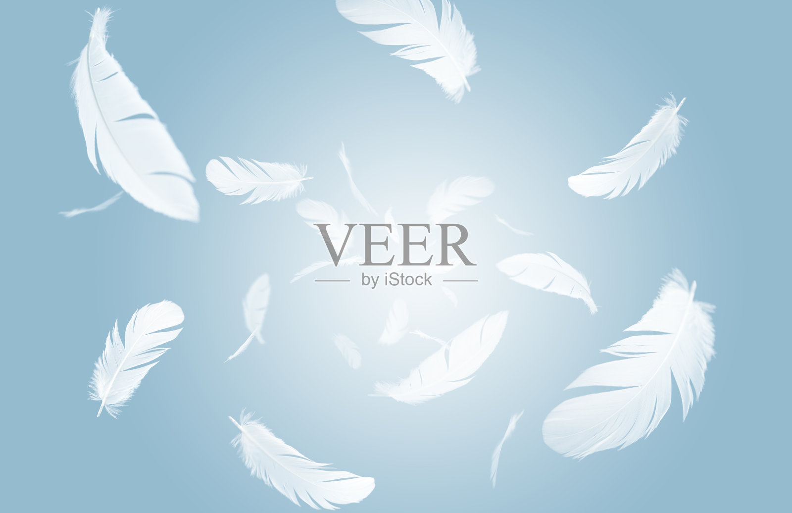 一群白色羽毛的鸟漂浮在空中。羽毛抽象的自由概念在一个蓝色的背景。照片摄影图片