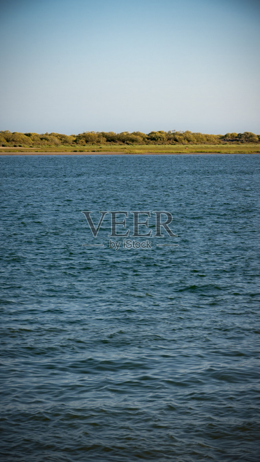 地袖在海平线上照片摄影图片