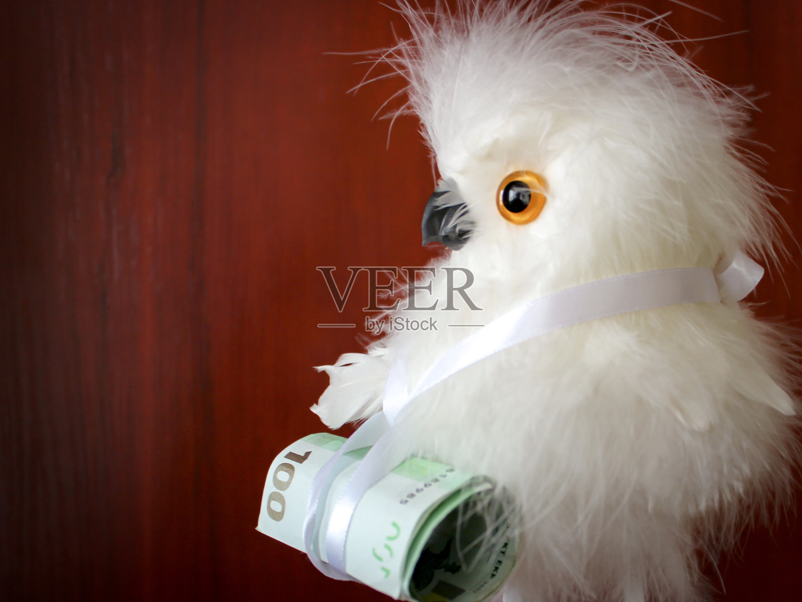 一个小鸟形状的玩具和几张真正的欧元钞票绑在上面。照片摄影图片