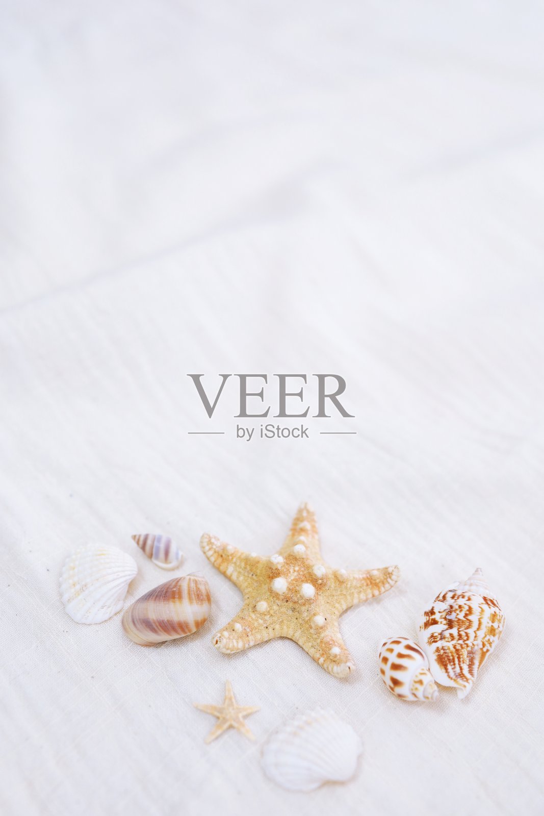 暑假背景准备假期放松在海滩背景的拷贝空间照片摄影图片