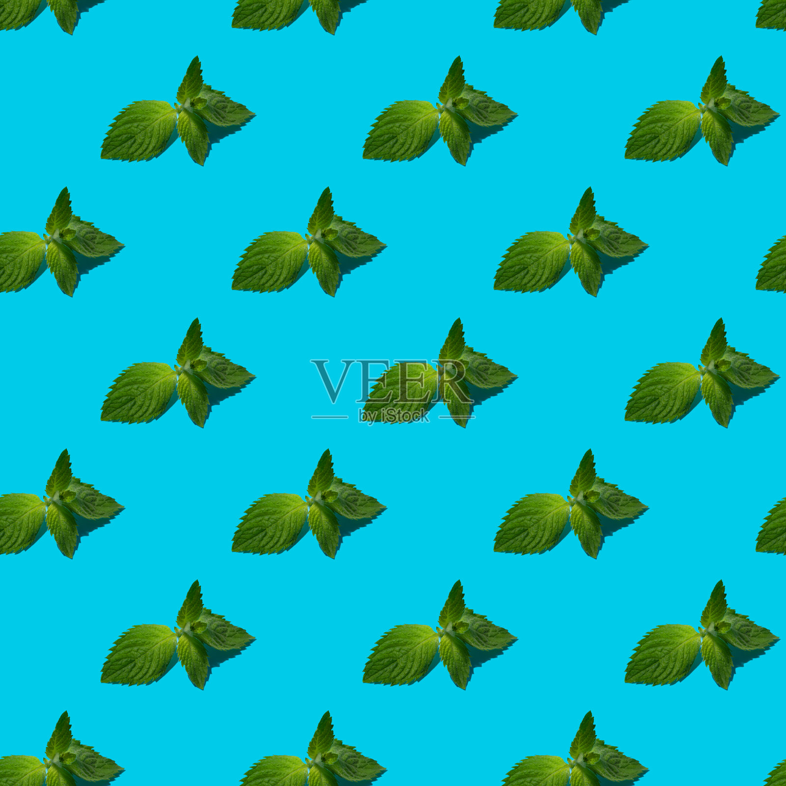 鲜薄荷叶无缝图案上的蓝色背景。照片摄影图片