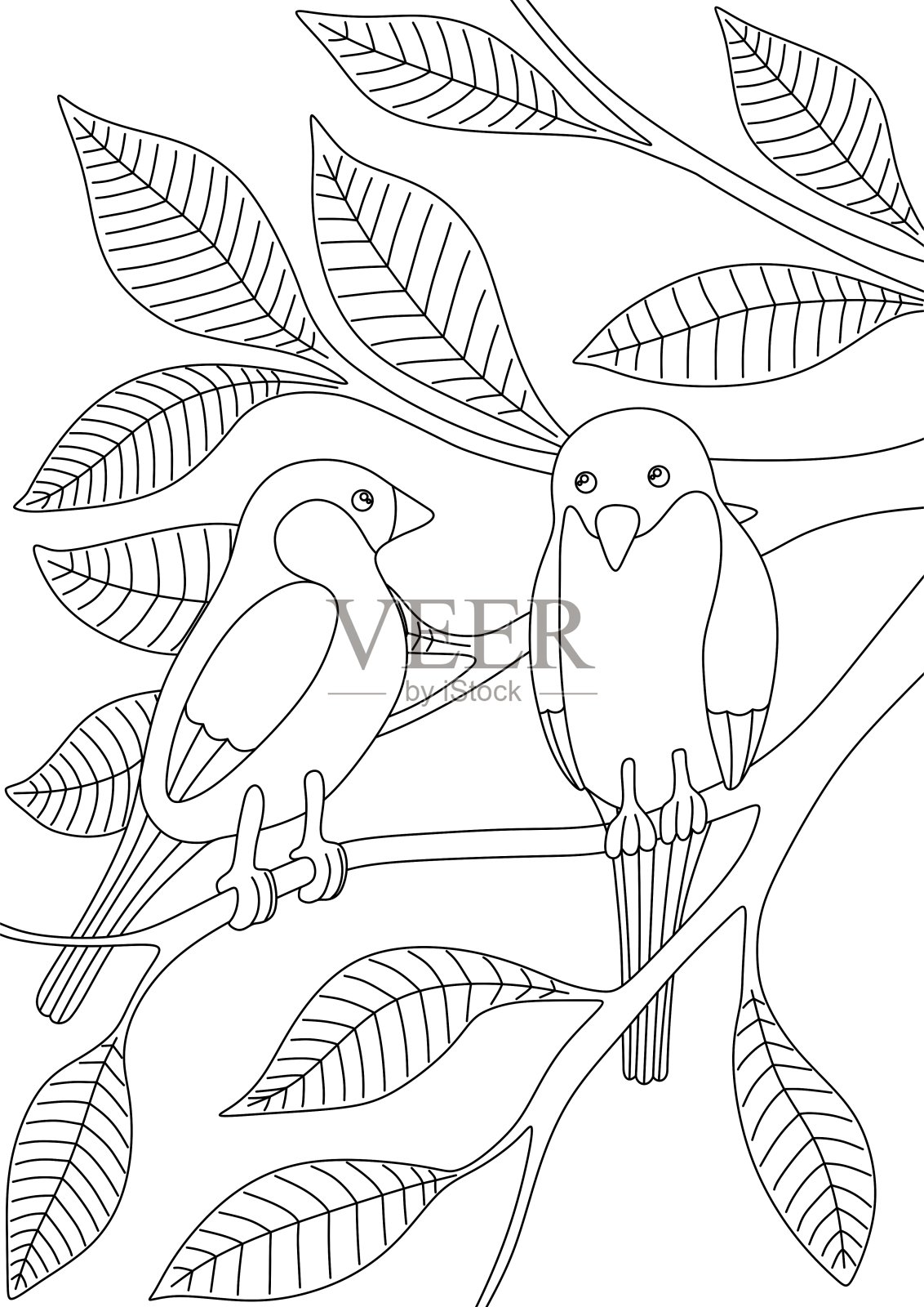 儿童涂色书，树枝上有鸟插画图片素材