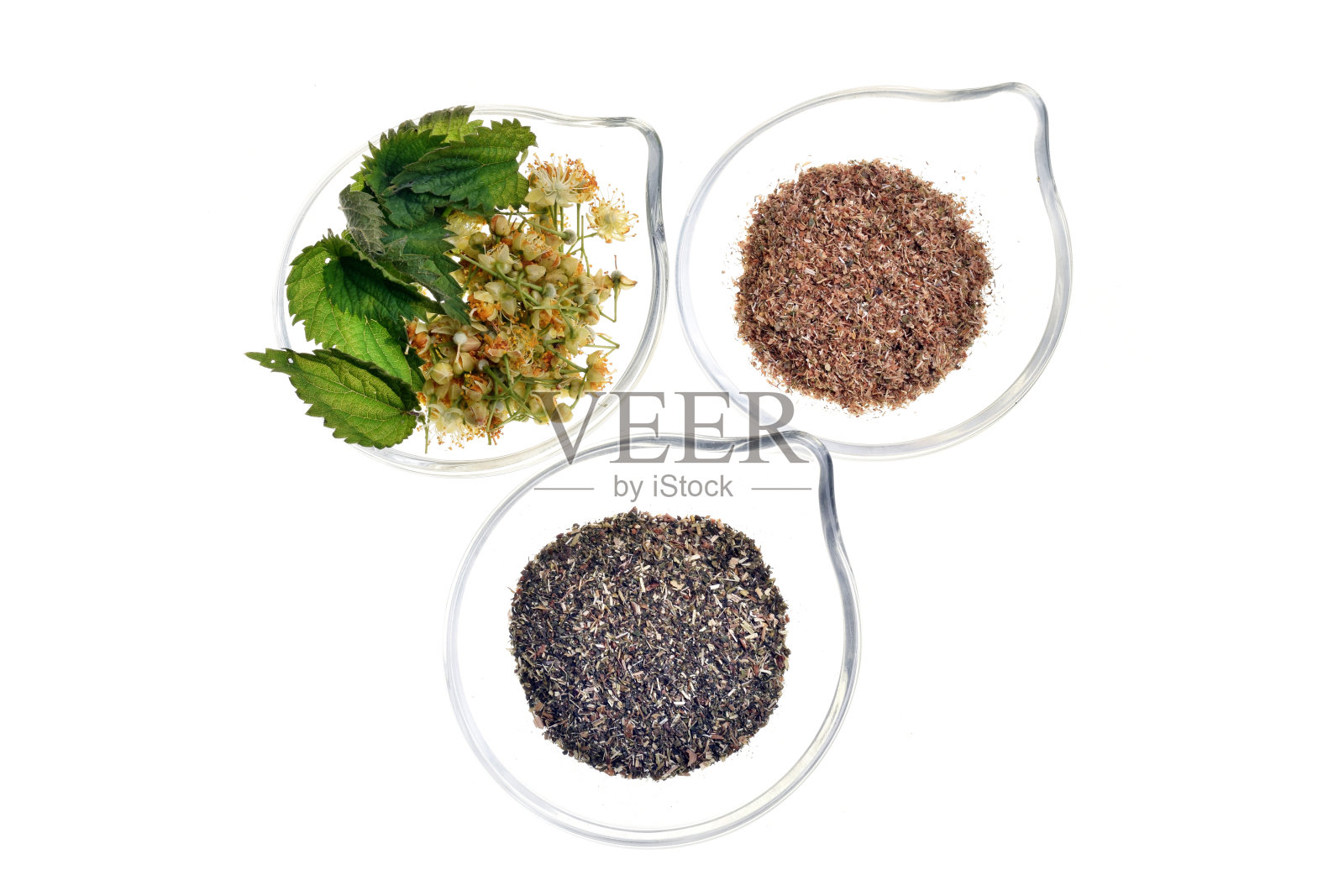 新鲜健康和干燥的菩提树和荨麻植物分离照片摄影图片