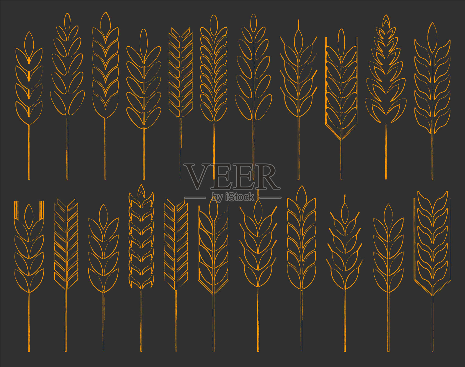谷穗形谷穗图标设置。农业食品标志标志。矢量插图形象。孤立在白色背景上。燕麦，乳清，大麦，黑麦。插画图片素材