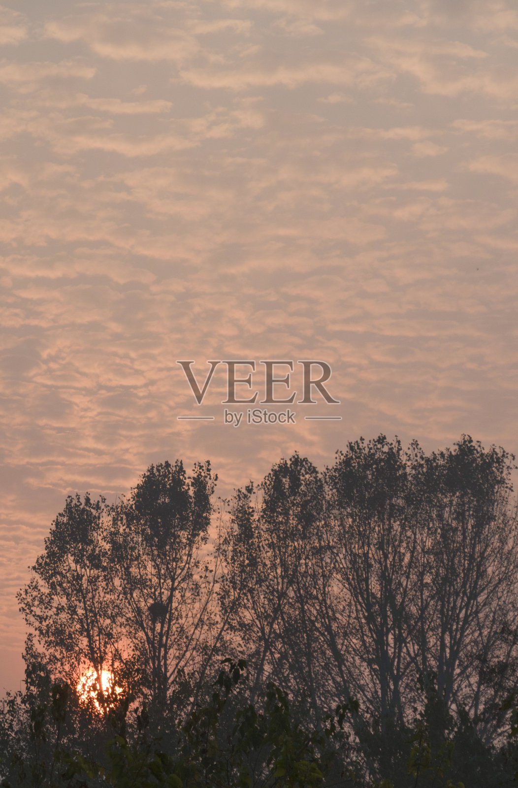 明亮的早晨太阳来了照片摄影图片