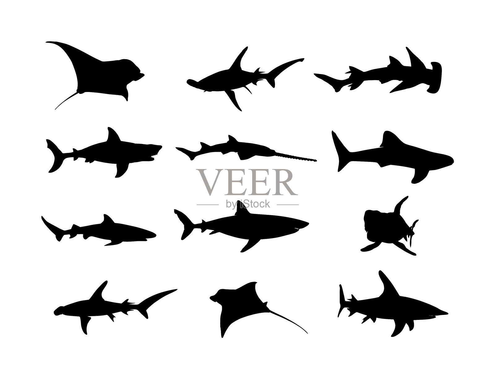 收集鲨鱼轮廓孤立在白色插画图片素材