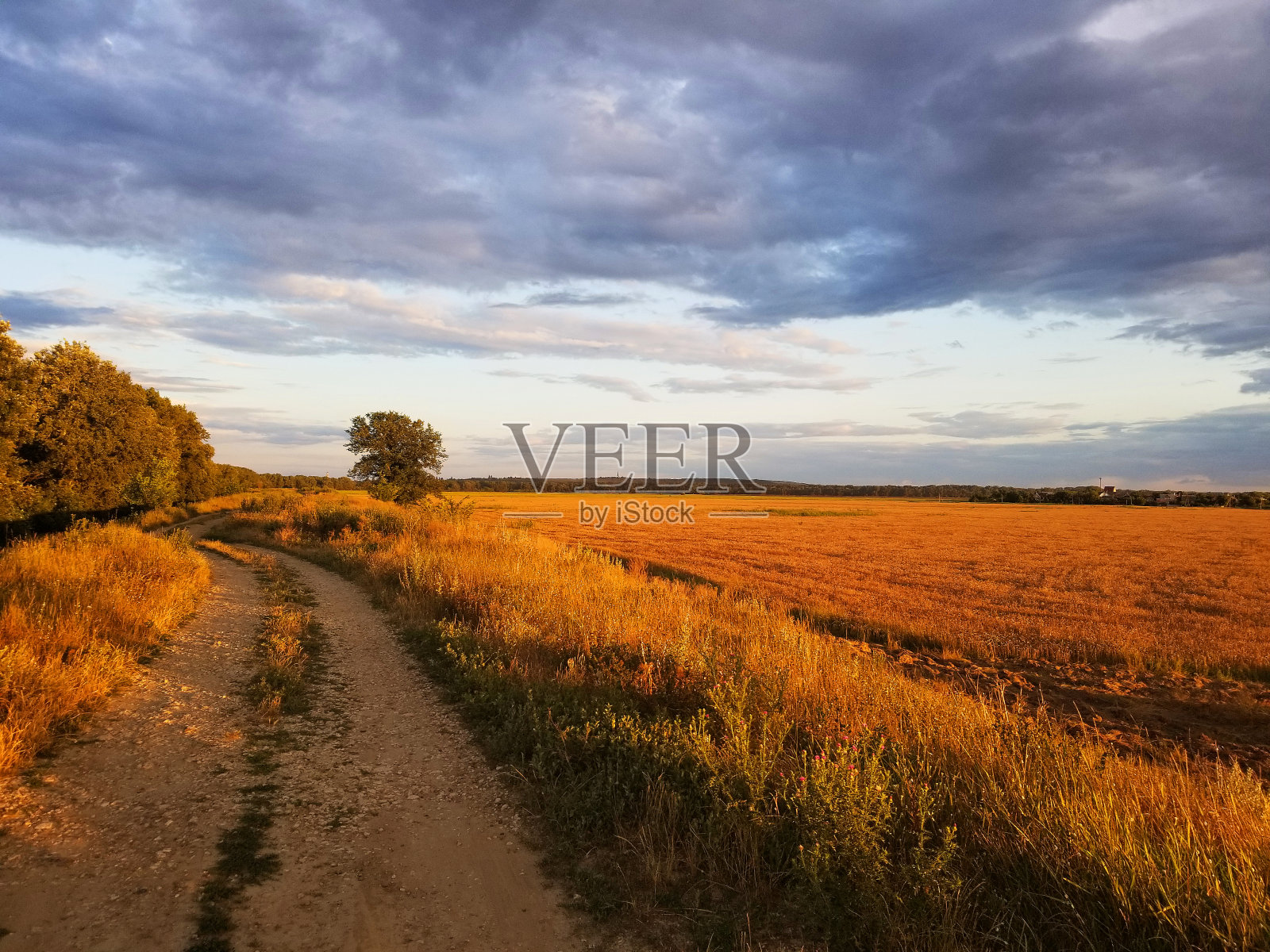 日落时割完麦子后的田地照片摄影图片