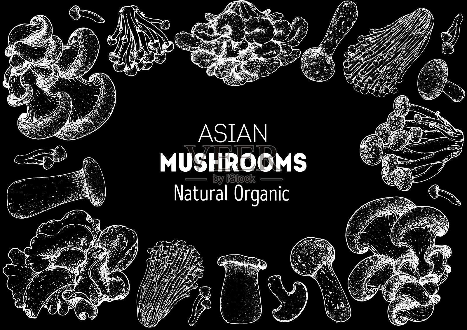 亚洲蘑菇素描集。食用蘑菇手绘。矢量插图集合。手绘的食物。的蘑菇。有机食品。森林蘑菇。健康食品的说明。设计元素图片