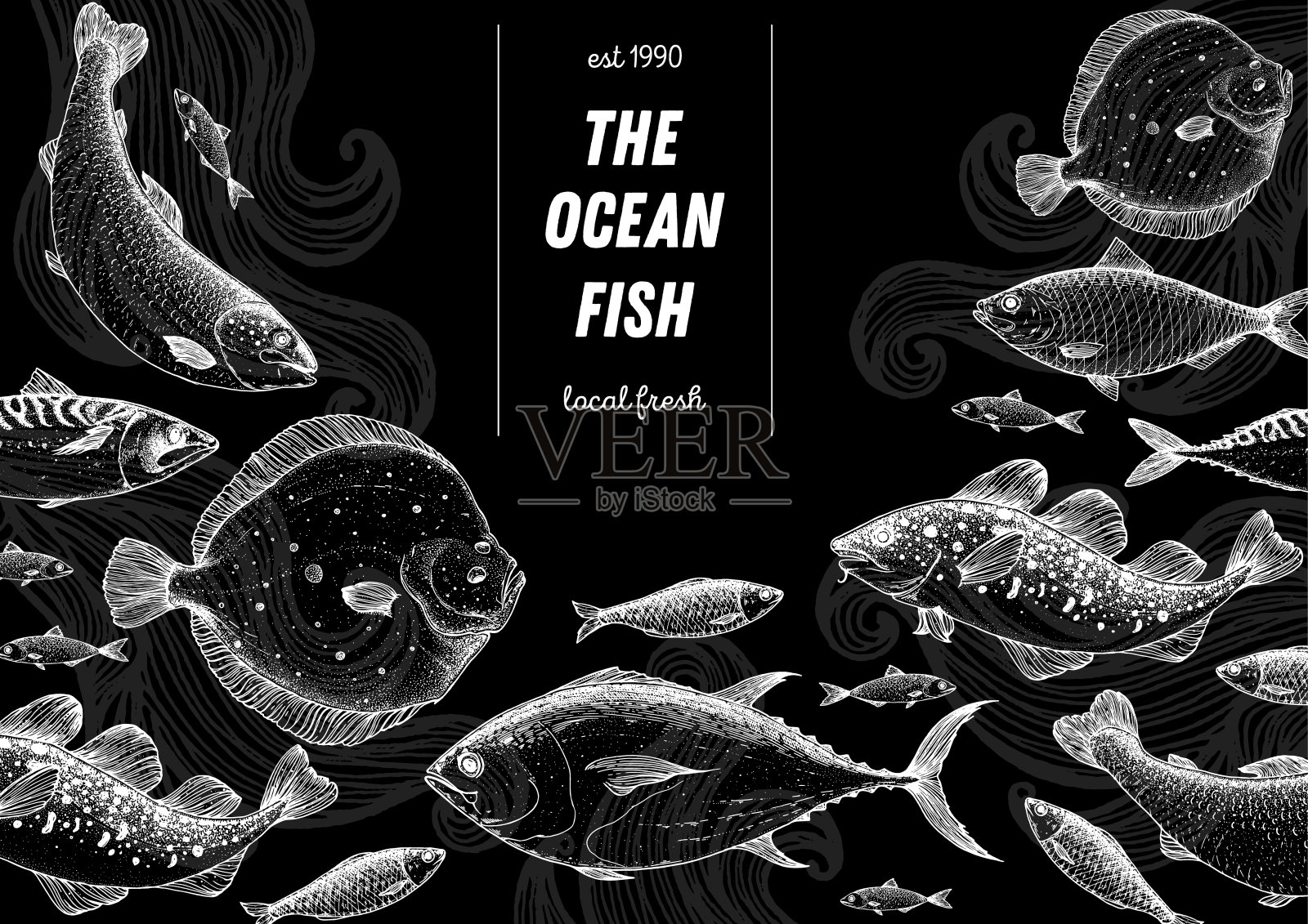 鱼的素描收藏。手绘矢量插图。海鲜框架矢量插图。食物菜单插图。手绘金枪鱼，鲑鱼，比目鱼，鳕鱼，鲱鱼。雕刻风格。插画图片素材