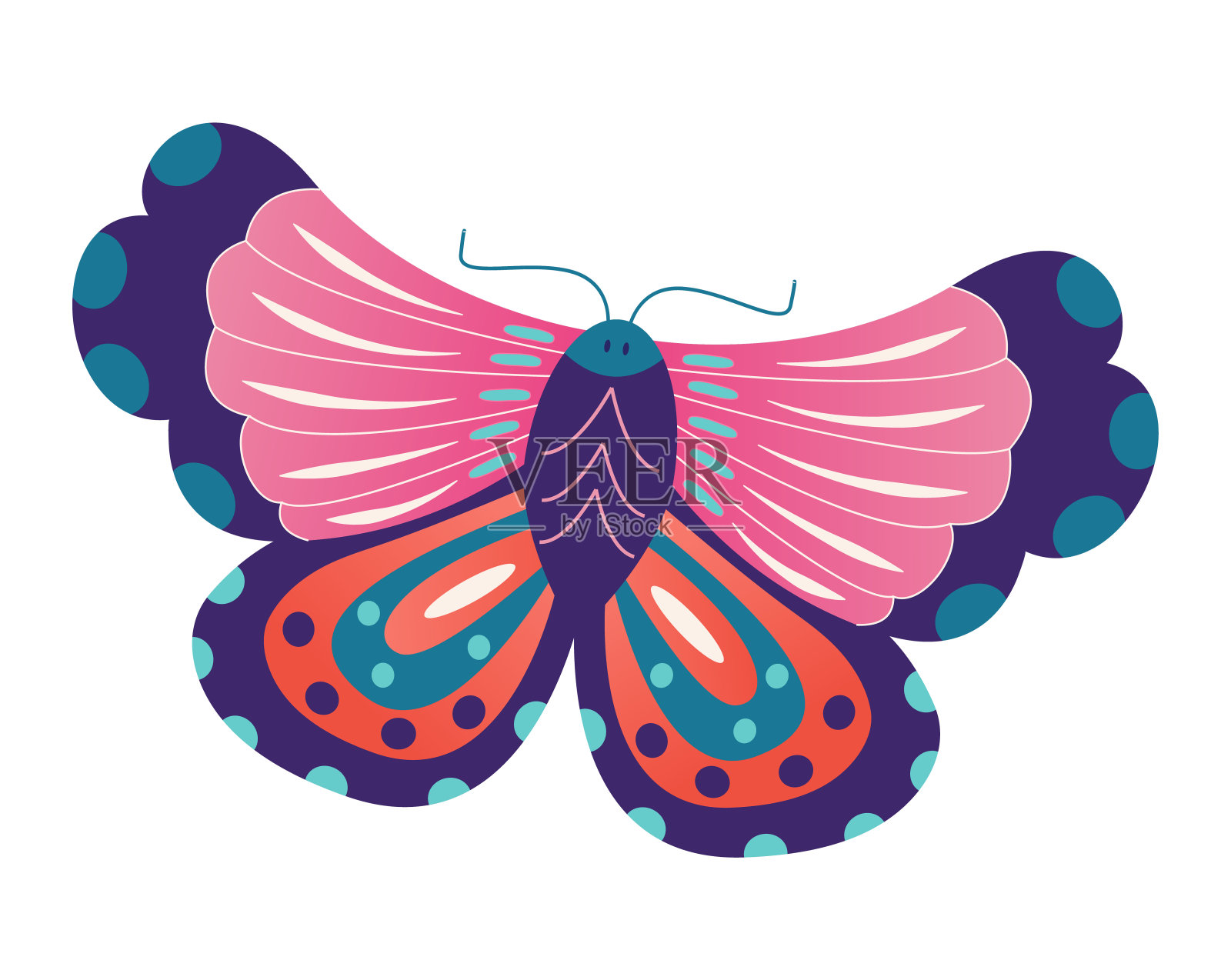 野生野生森林蝴蝶孤立上白色，图标卡通矢量插图。活的自然界动物蛾昆虫。户外蚕近距离。插画图片素材