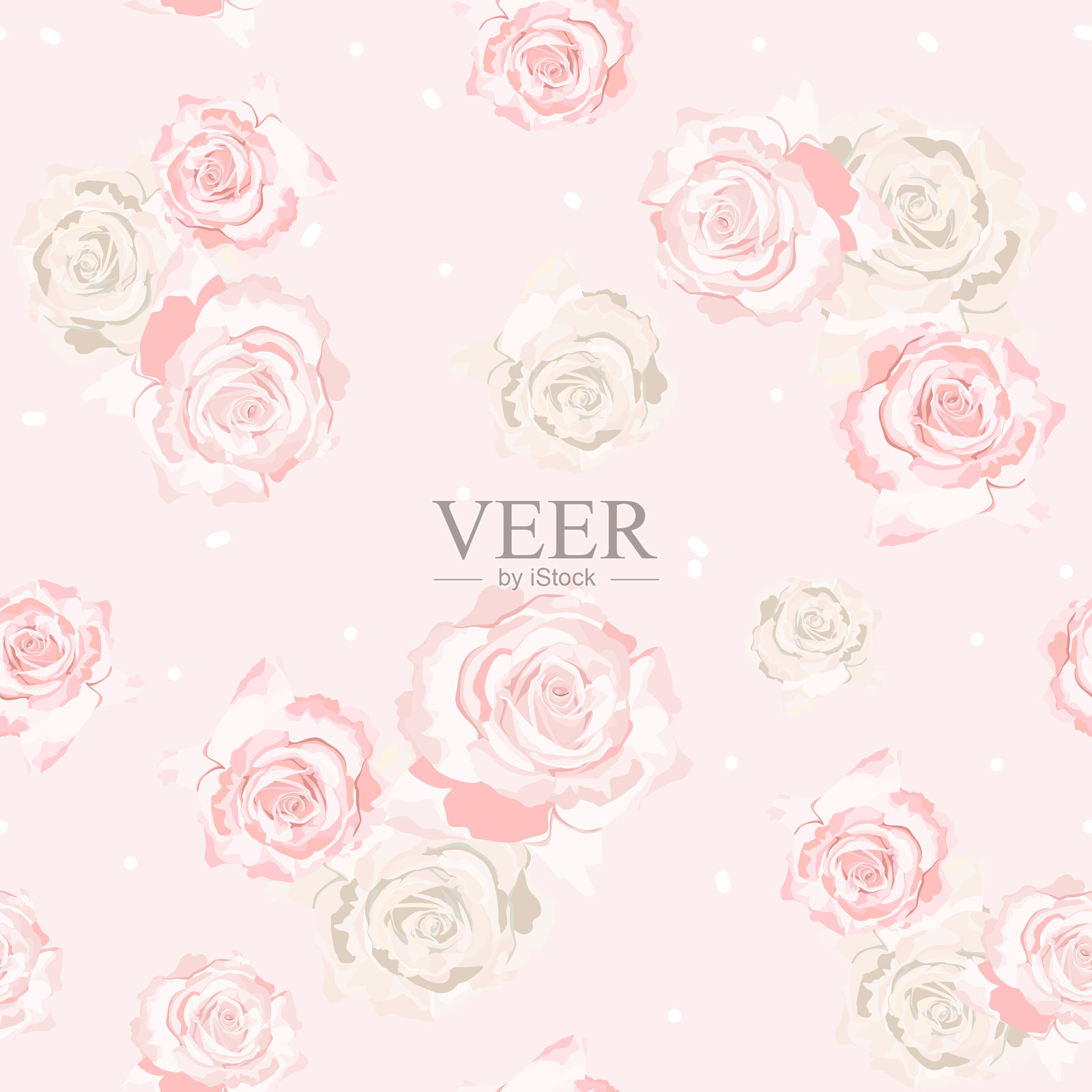 精致的玫瑰花朵插画图片素材