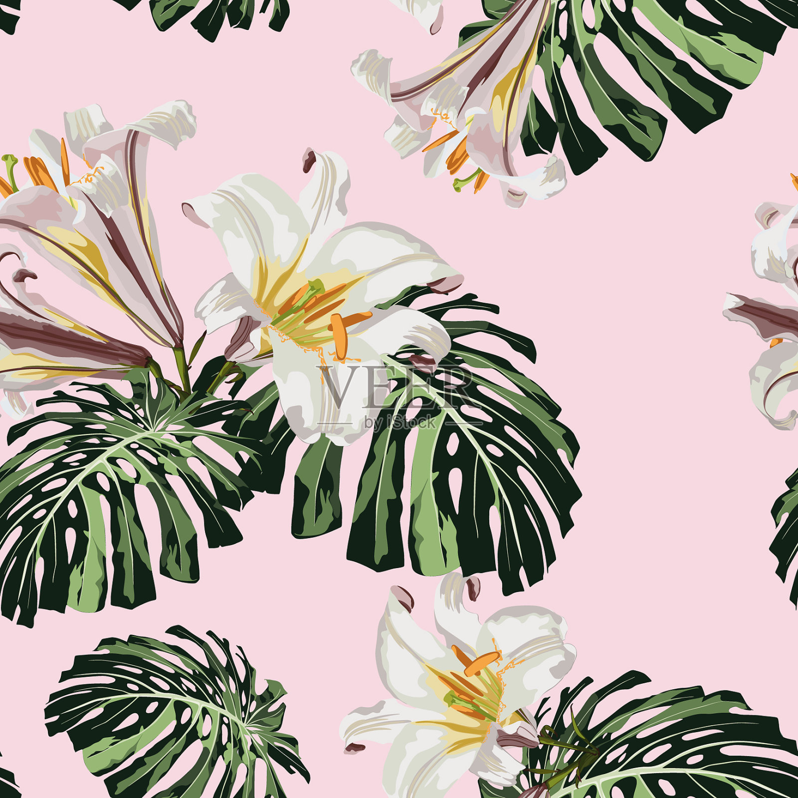 棕榈的叶子和白色的百合花插画图片素材