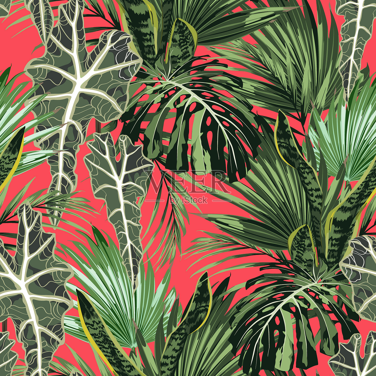 热带棕榈叶明亮的背景插画图片素材