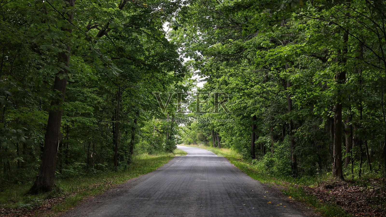 漫长的道路照片摄影图片