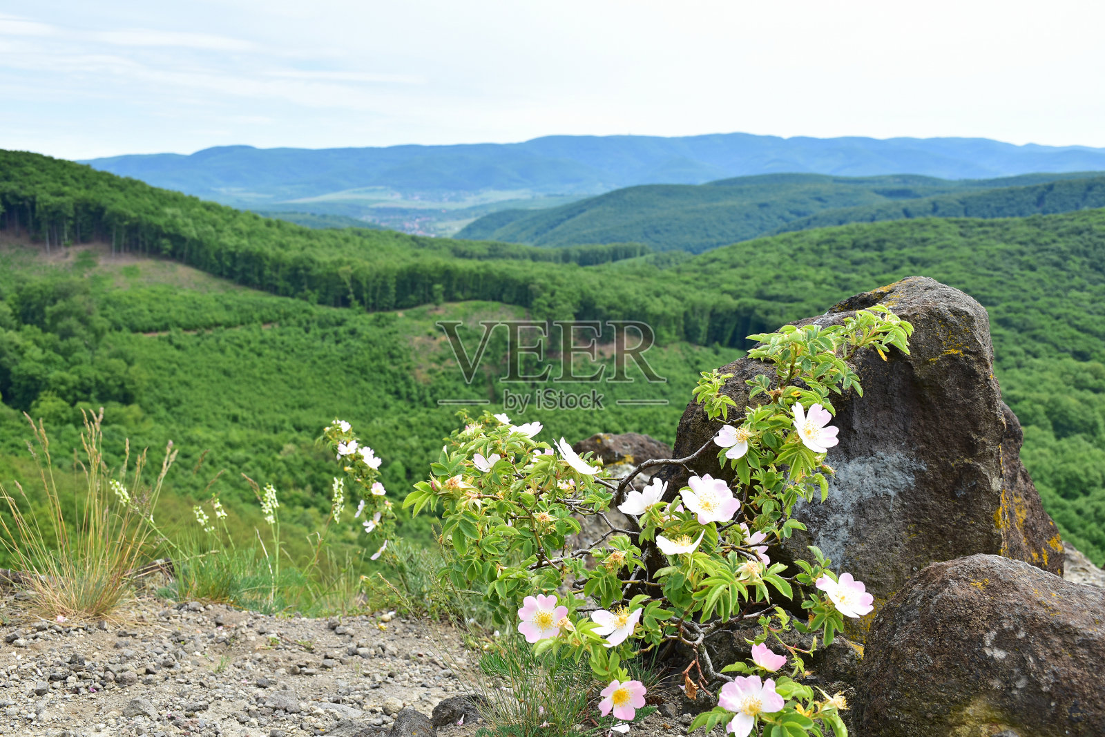 匈牙利拉兹贝尔克山的景色照片摄影图片