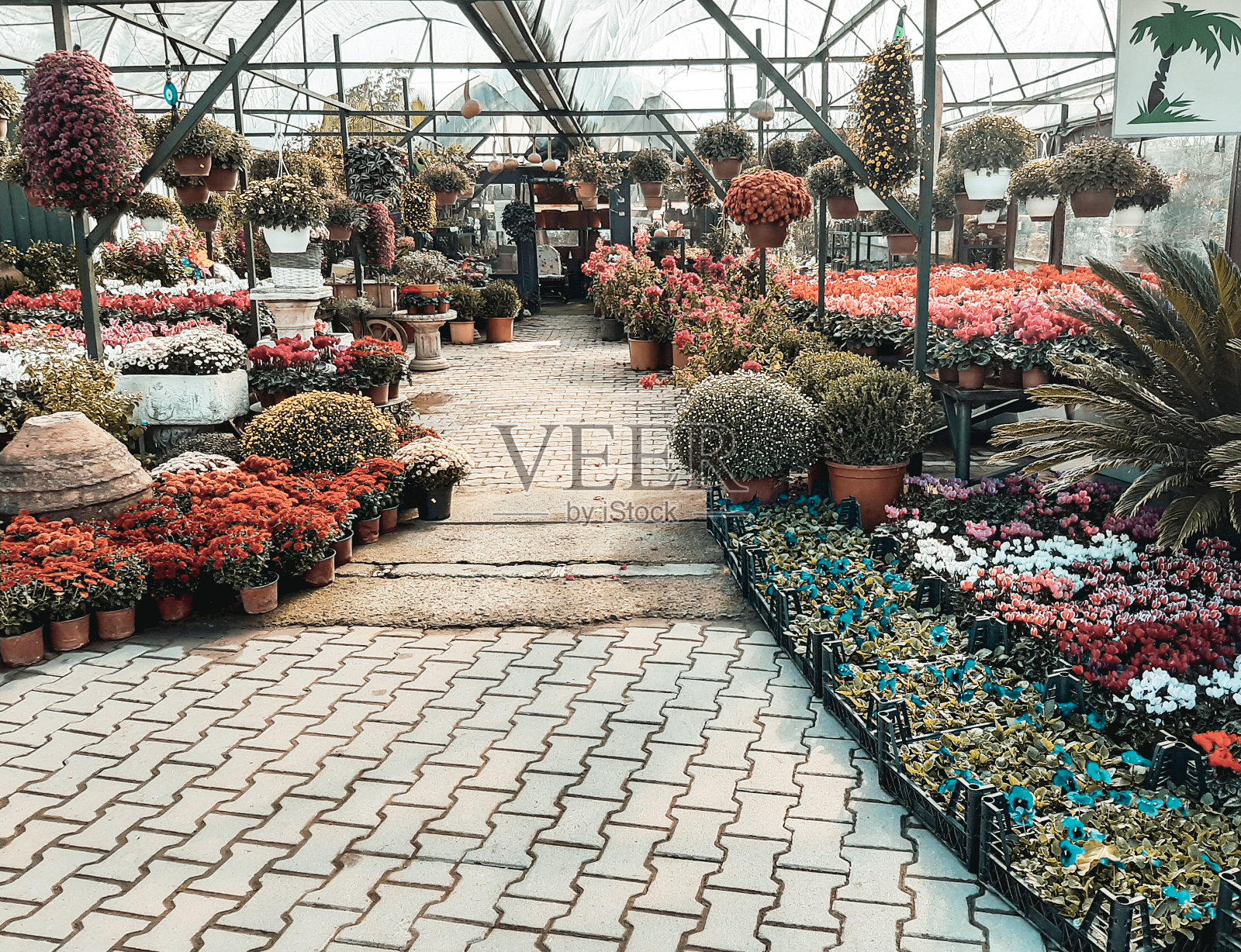 伊斯坦布尔Kucukcekmece的花店照片摄影图片