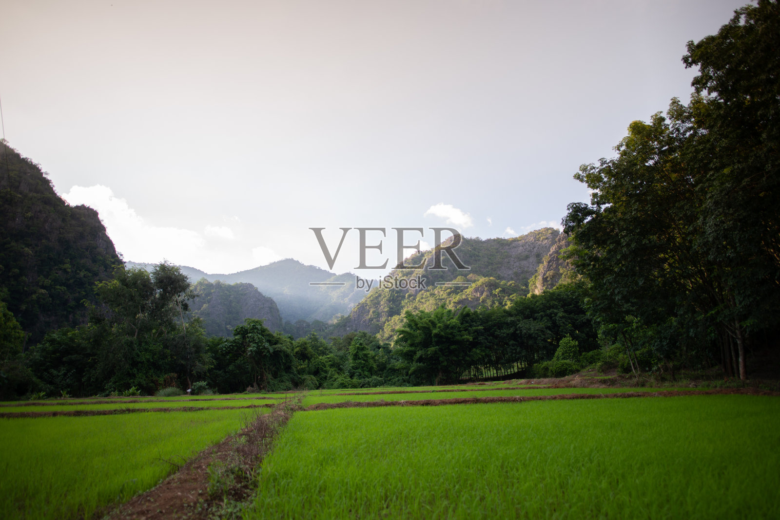 福斯里兰卡的观点照片摄影图片