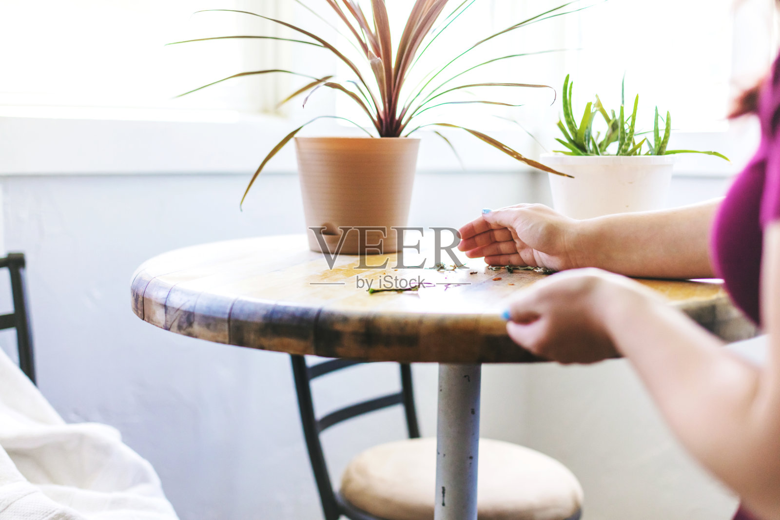 女人们的手正在清理小酒馆桌子上的两盆植物上的灰尘，背景是木质的金属腿和椅子照片摄影图片