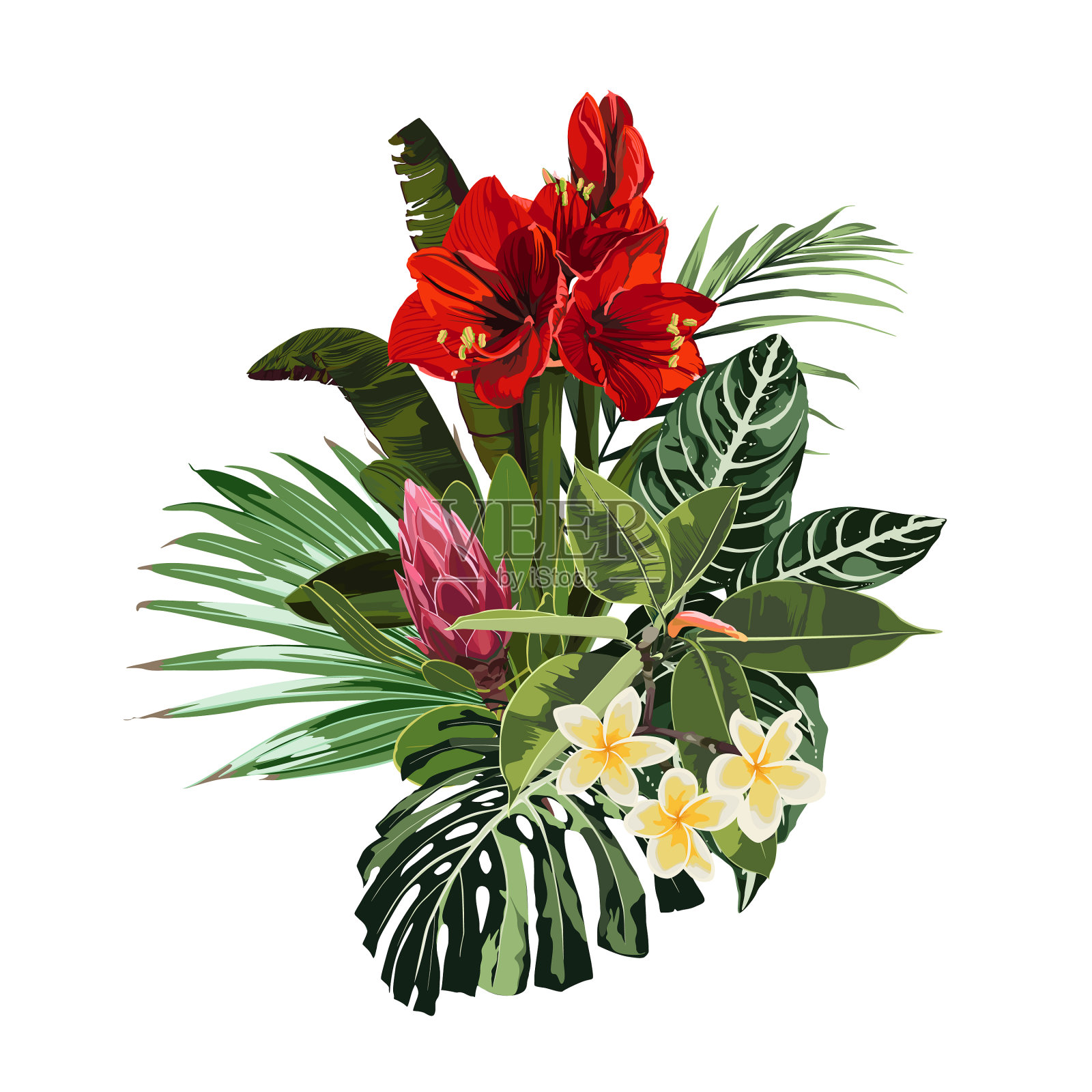 明亮的绿色夏季热带花束设计元素图片