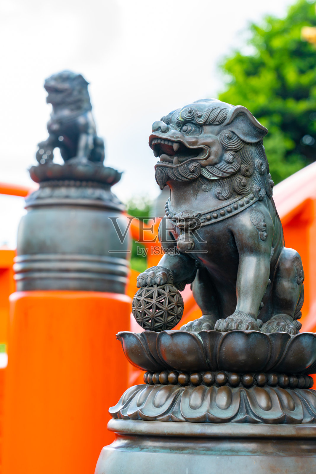 志林尼姑庵里有一只爪子在地球上的狮子照片摄影图片