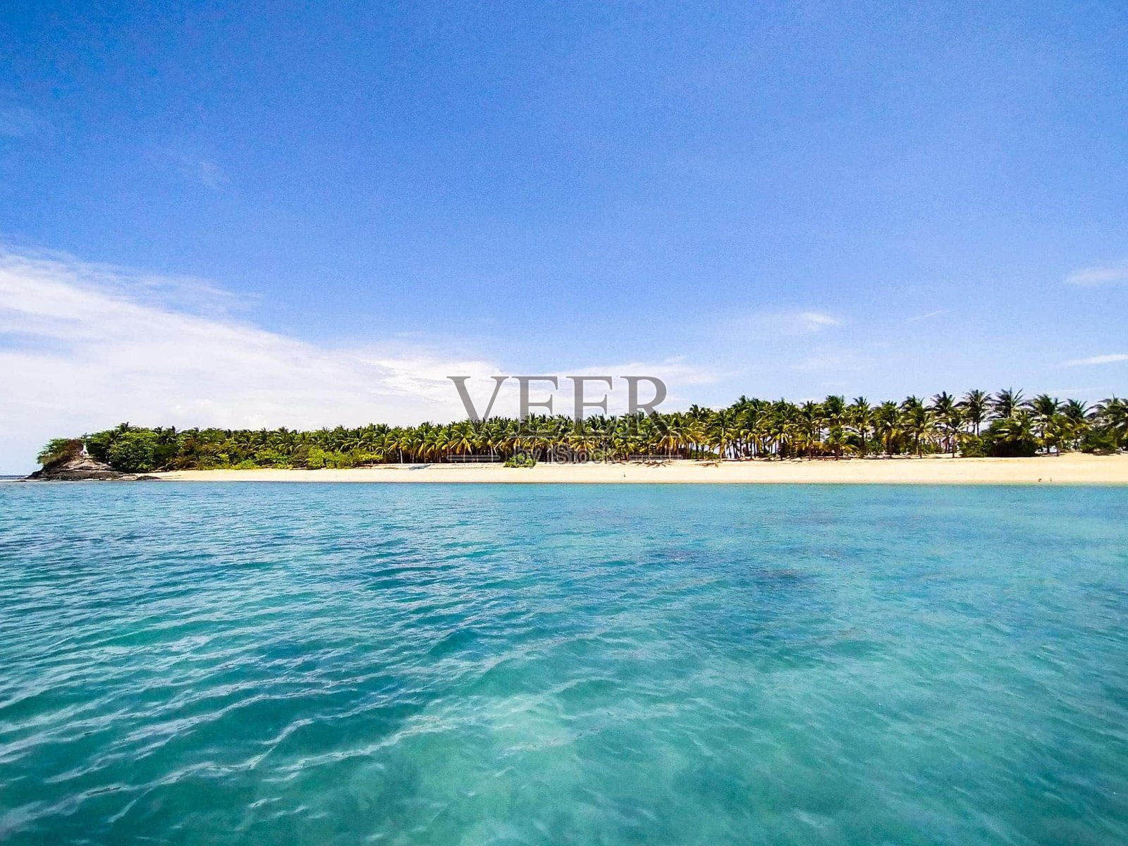 郁郁葱葱的水域照片摄影图片