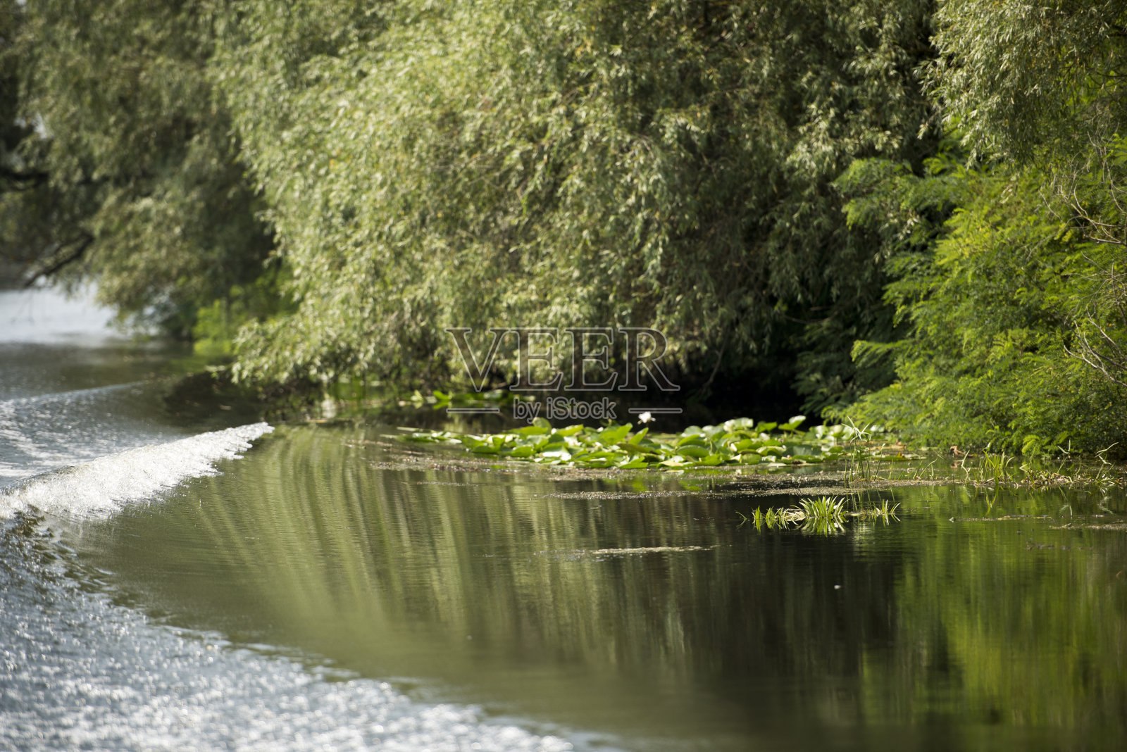 罗马尼亚多瑙河三角洲的河道景观与波浪，在夏天的一天照片摄影图片