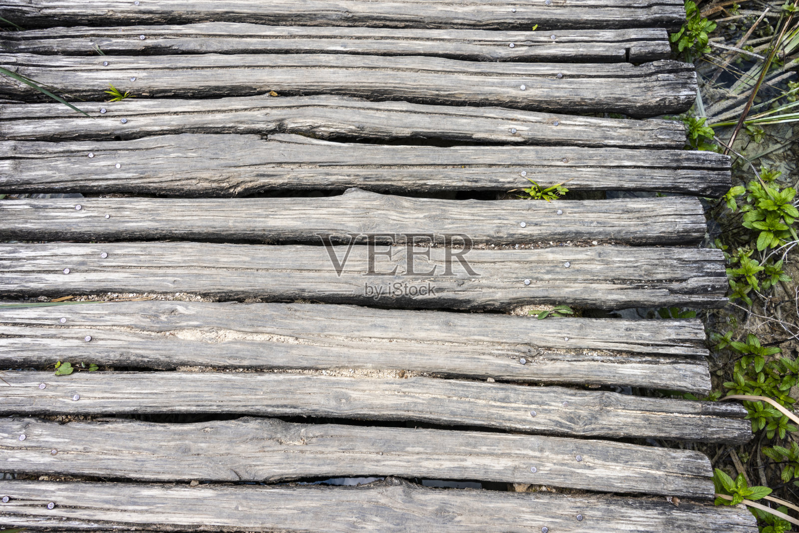 木制小道照片摄影图片