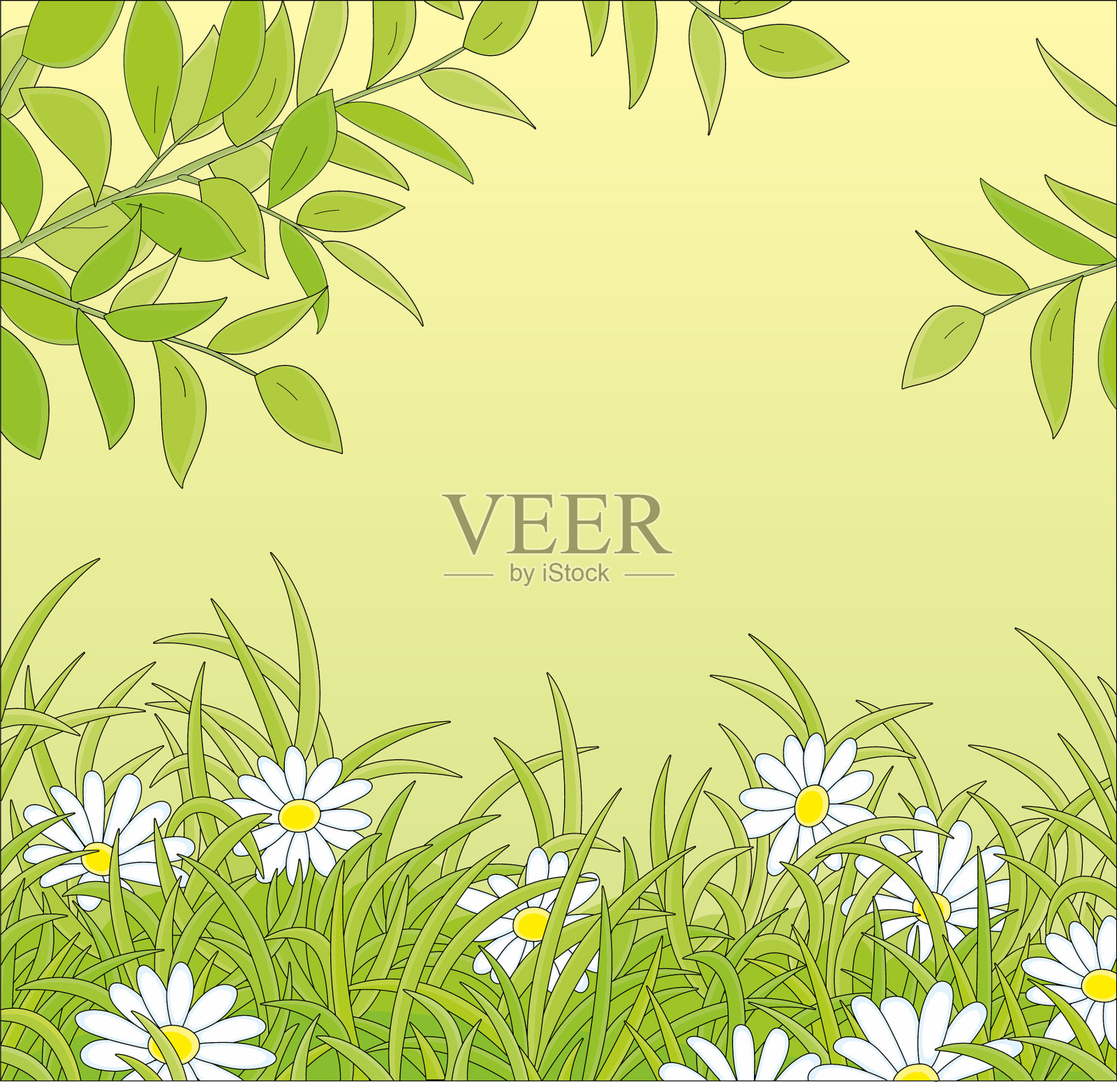 绿色的树枝上开着白花插画图片素材