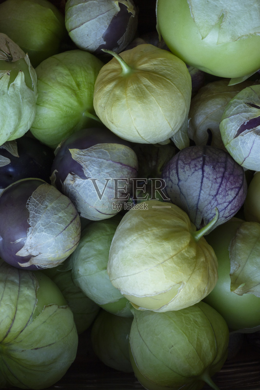 番茄水果泡在泡泡水中照片摄影图片