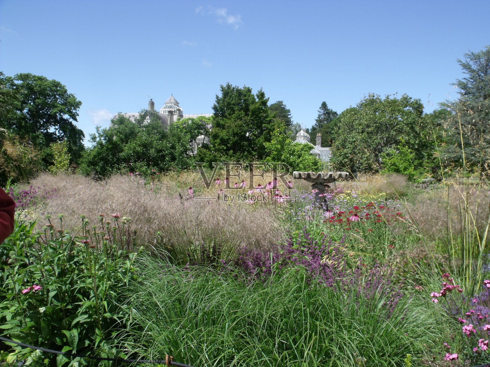 威尔士花园里的花和树照片摄影图片