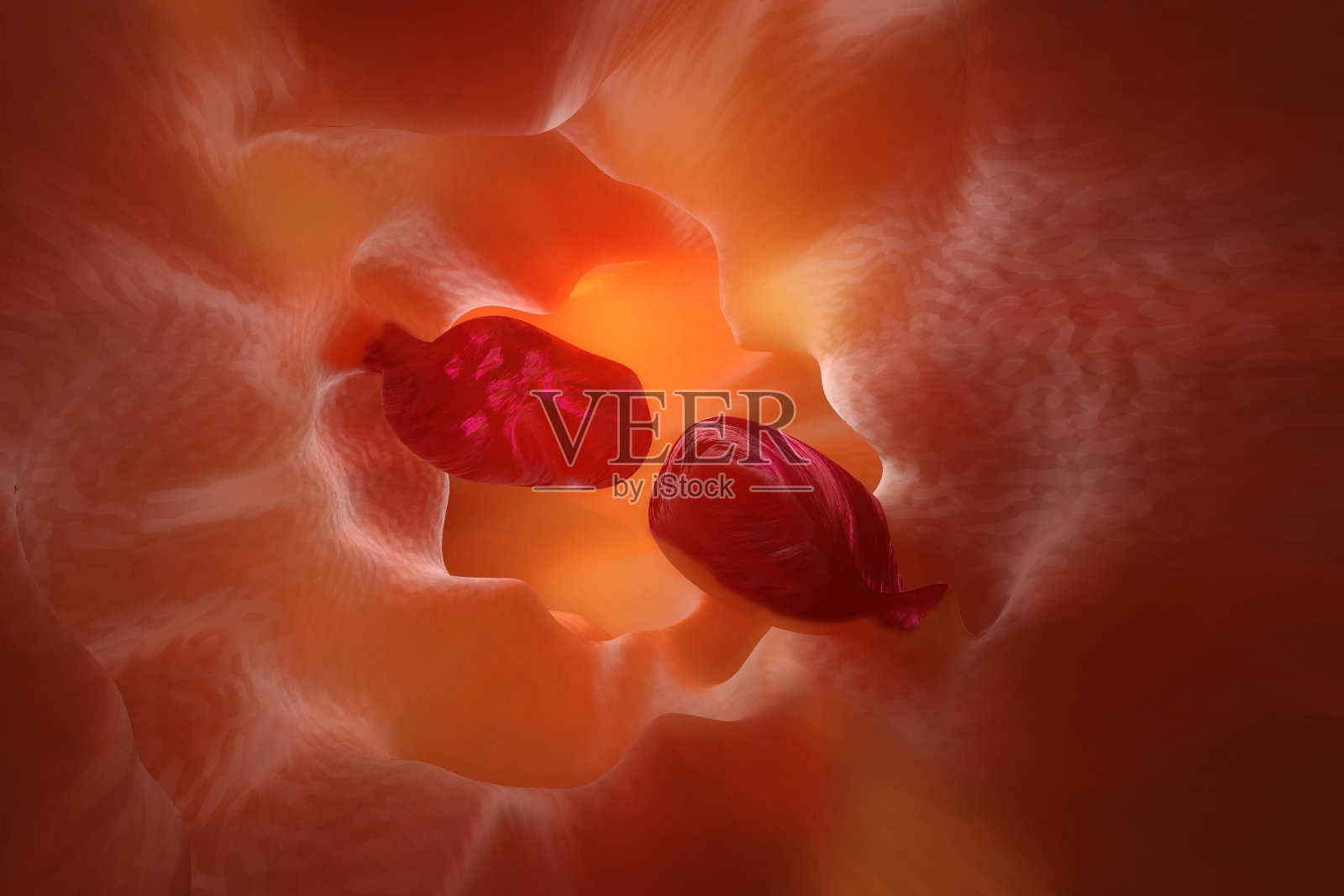 肠镜检查期间的胃肠息肉的3D插图照片摄影图片