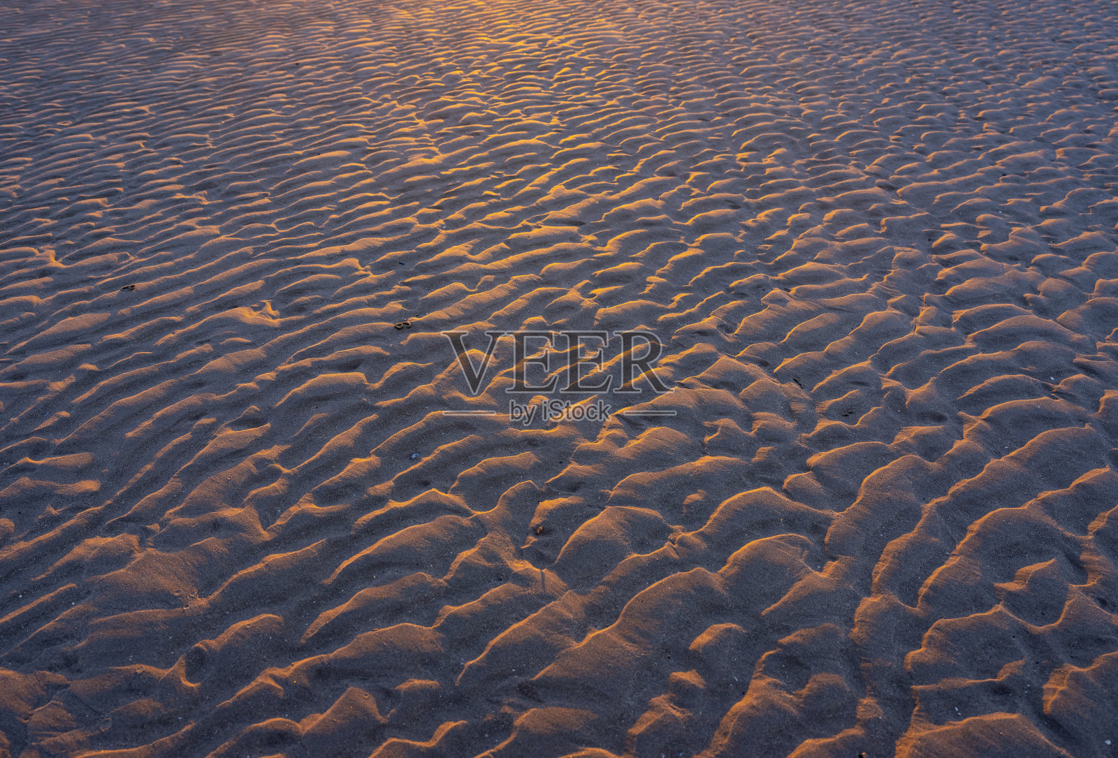 在温暖的夕阳照耀下，沙滩上的沙子泛起阵阵涟漪照片摄影图片