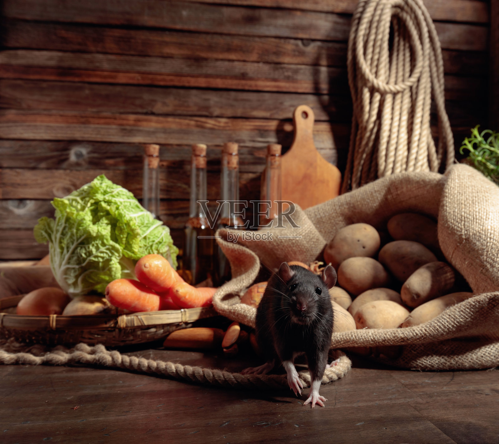 木桌上放着老鼠，还有蔬菜和厨房用具。照片摄影图片