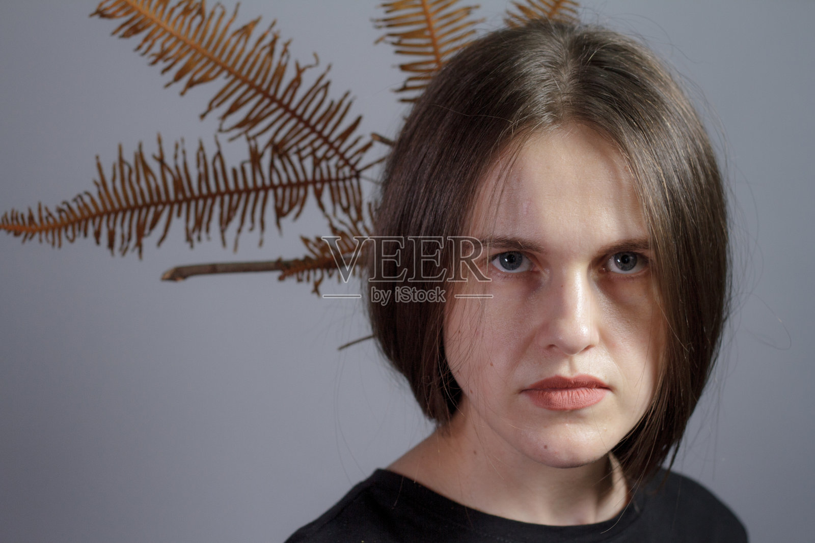 时髦的肖像的黑发女孩与蕨冠在她的头发，灰色的背景。时尚发型与金伞蕨。照片摄影图片