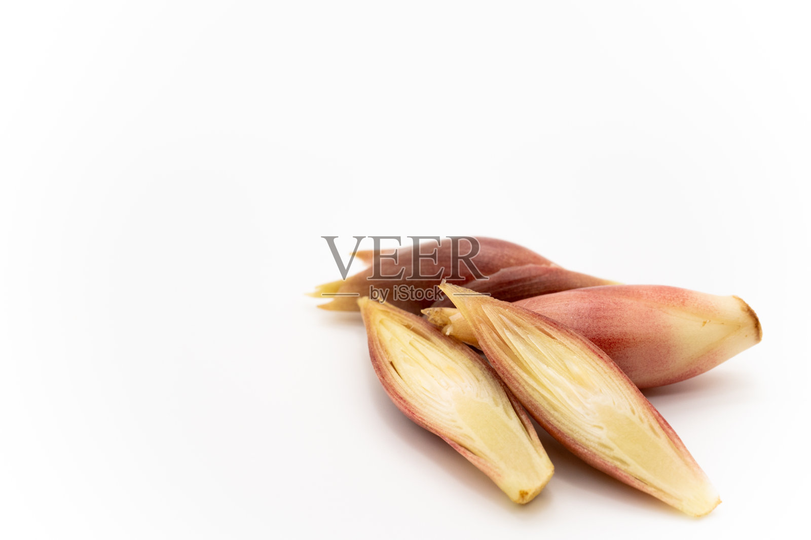 白色背景上的Myouga，日本生姜照片摄影图片