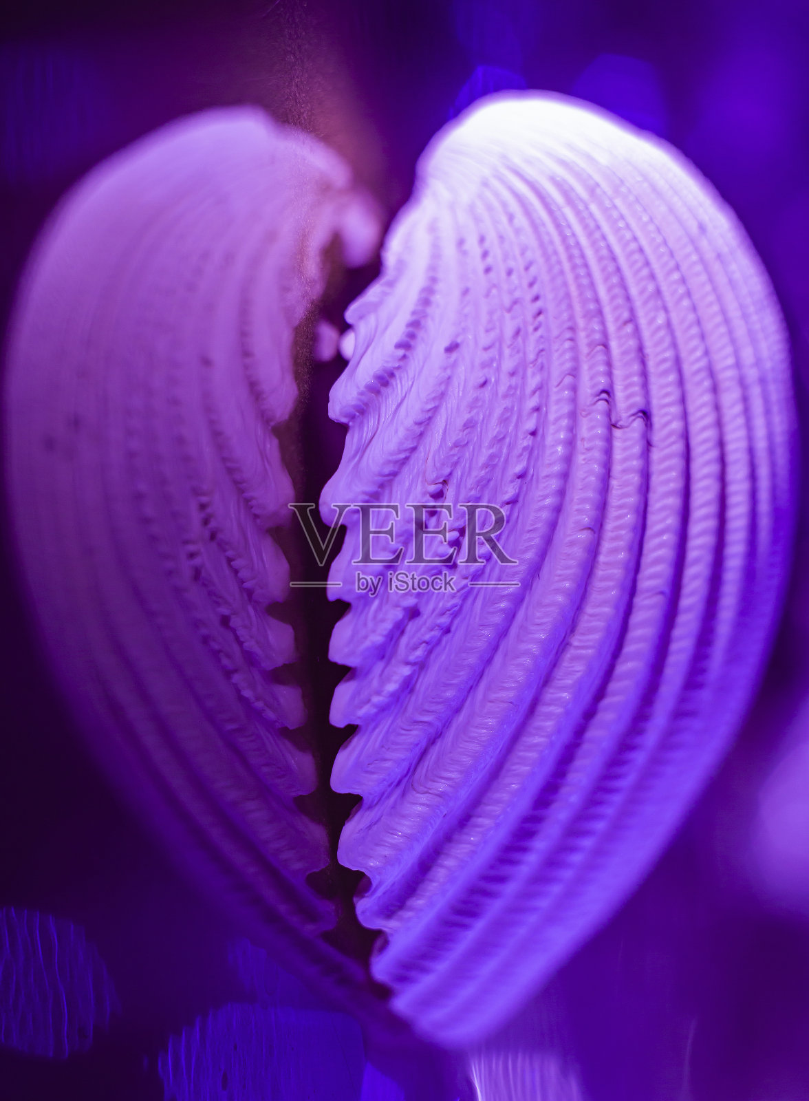 浪漫的心照片摄影图片