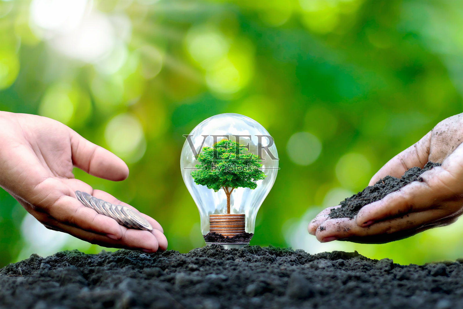 树木生长在成堆的硬币上，鳞茎和手给土壤和钱。节能环保理念在地球日。照片摄影图片