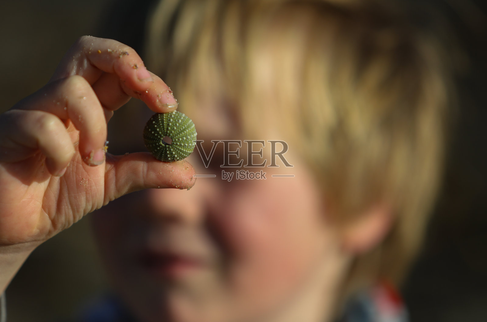 一个小男孩举着一个海南瓜壳照片摄影图片