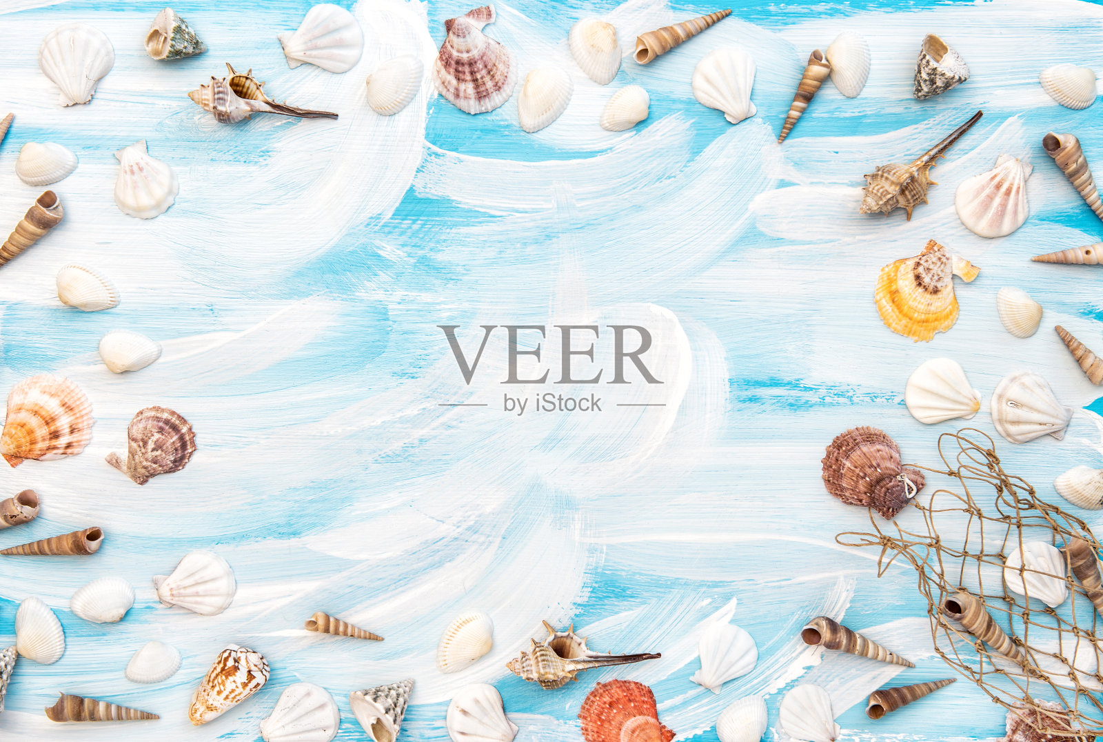 海上平铺海贝渔网复制空间照片摄影图片