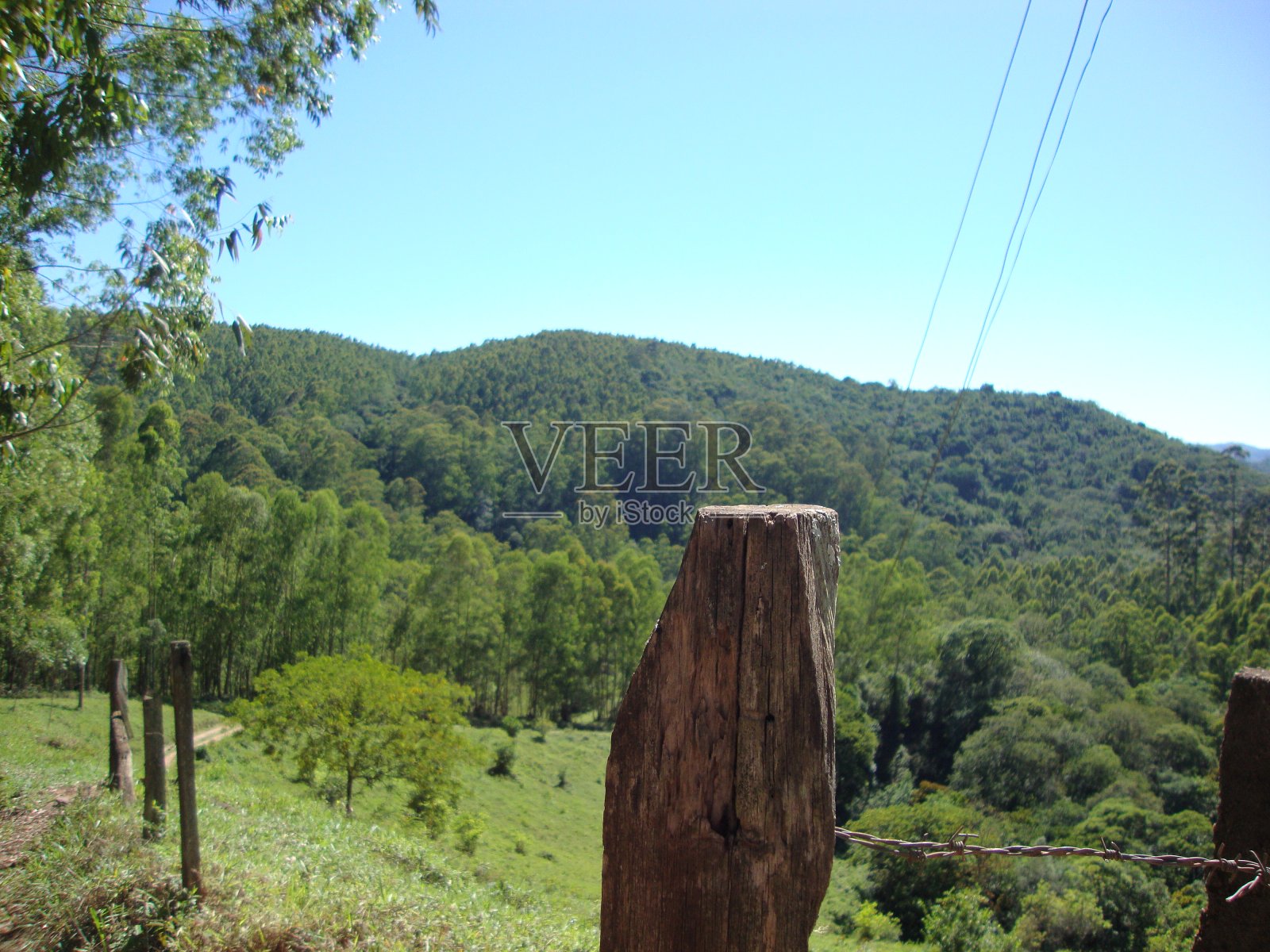 自然照片摄影图片