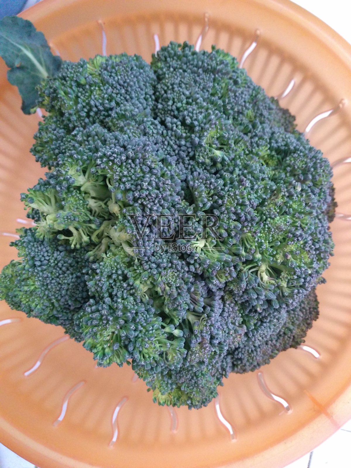 西兰花照片摄影图片