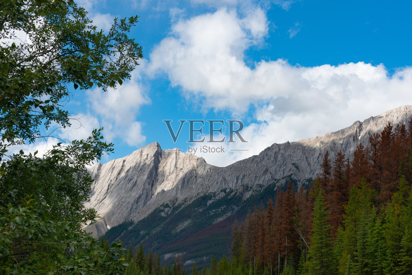 贾斯珀国家公园的照片照片摄影图片