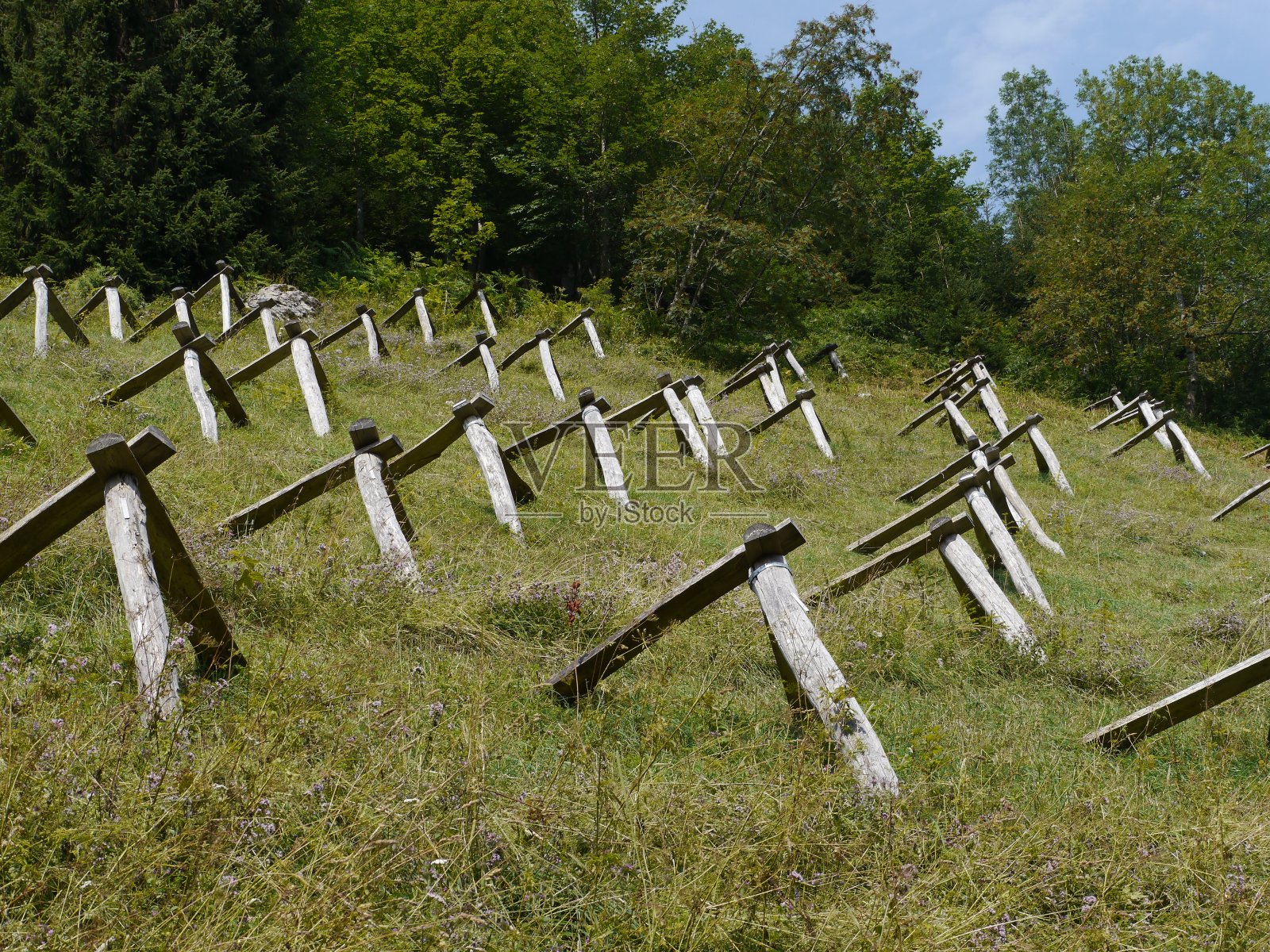 成排的木制防雪崩屏障照片摄影图片