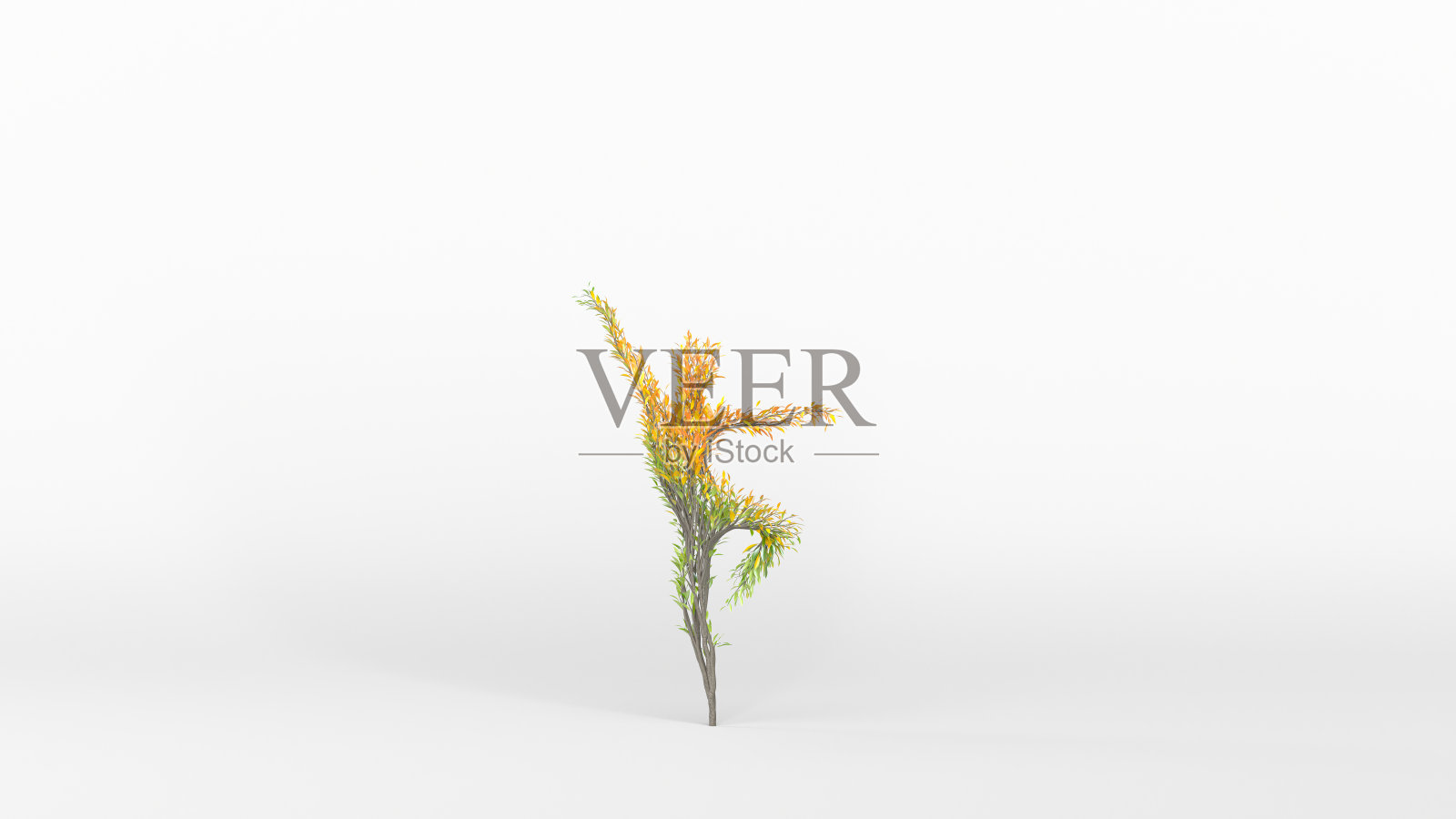 树长得像人一样。环保的概念。照片摄影图片