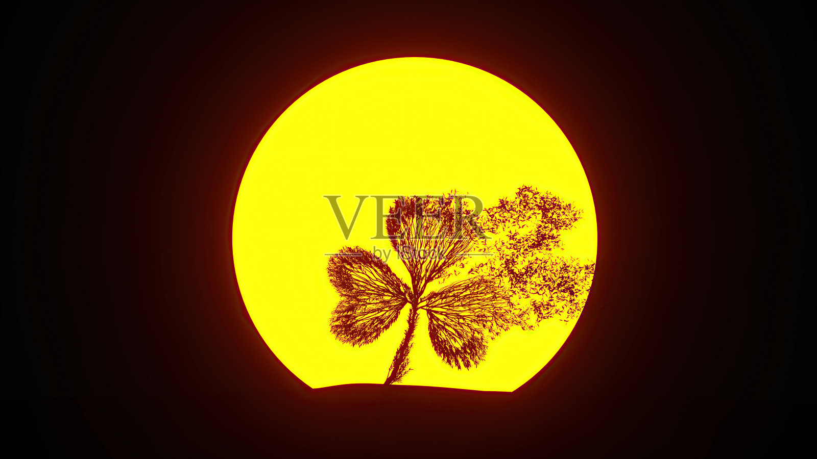 生长在三叶草形状的树。环保的概念。圣帕特里克节。照片摄影图片