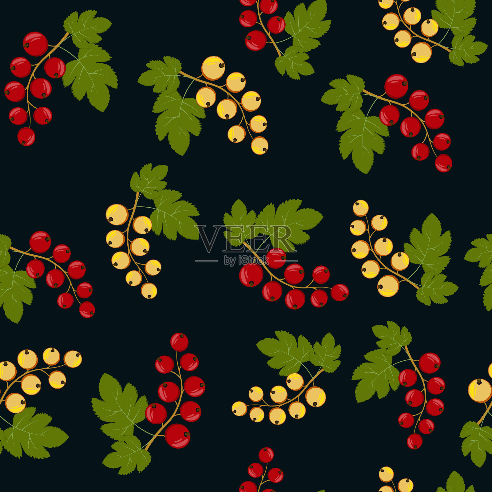在树枝上的红色和黄色的醋栗浆果的图案。颜色向量插图。背景暗，设计，表面处理，纹理，印刷，壁纸，纺织品。插画图片素材