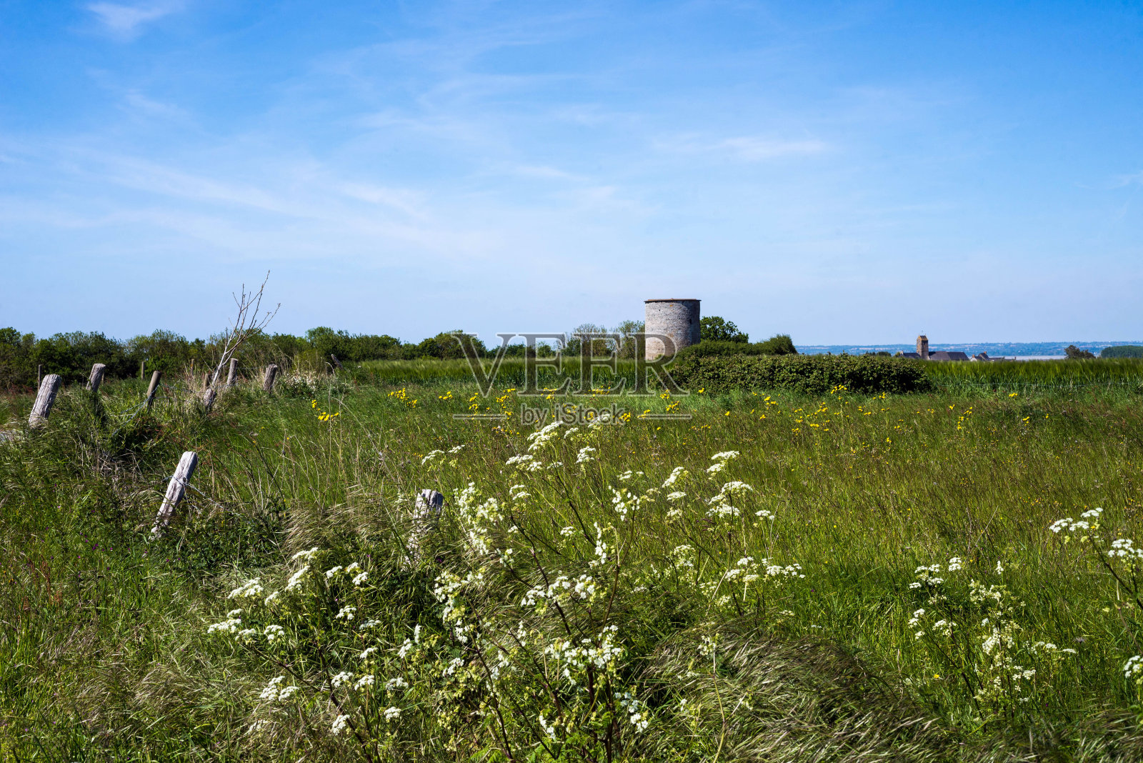 诺曼底的法国风景，有篱笆和花照片摄影图片